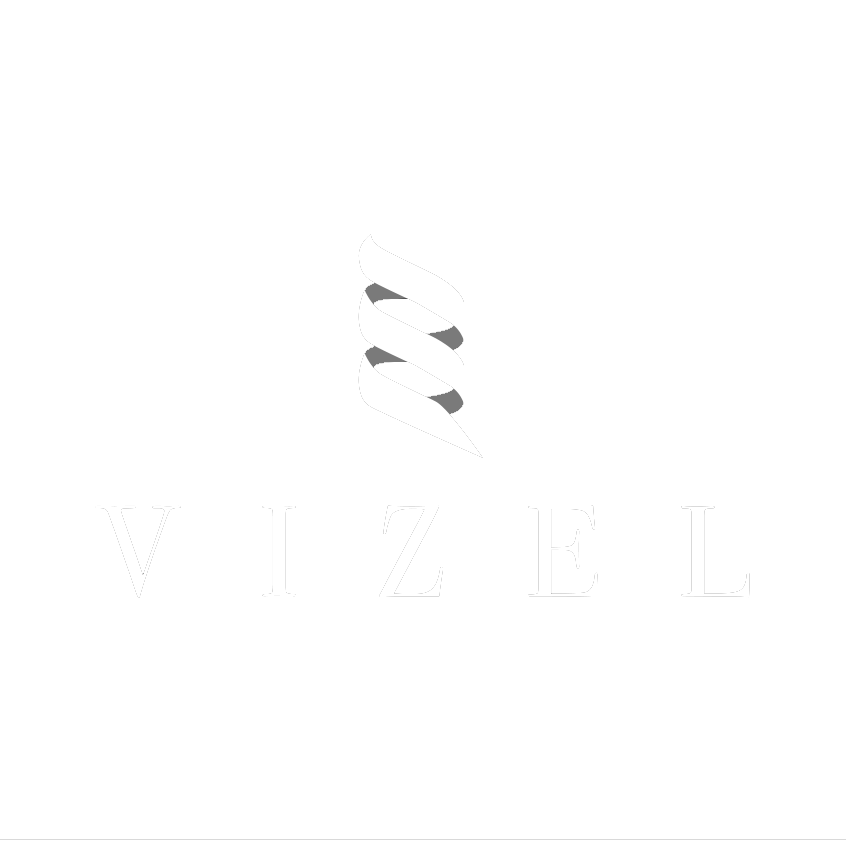 VIZELのロゴ